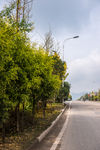 城市风貌 城市道路 城市绿化