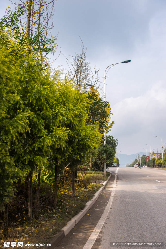 城市风貌 城市道路 城市绿化