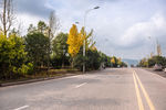 城市风貌 城市道路 城市绿化