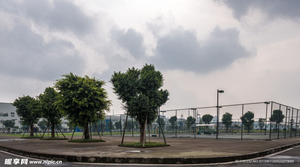 城市风貌 城市道路 城市绿化