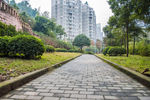 园艺 园林 草地 草坪 绿地