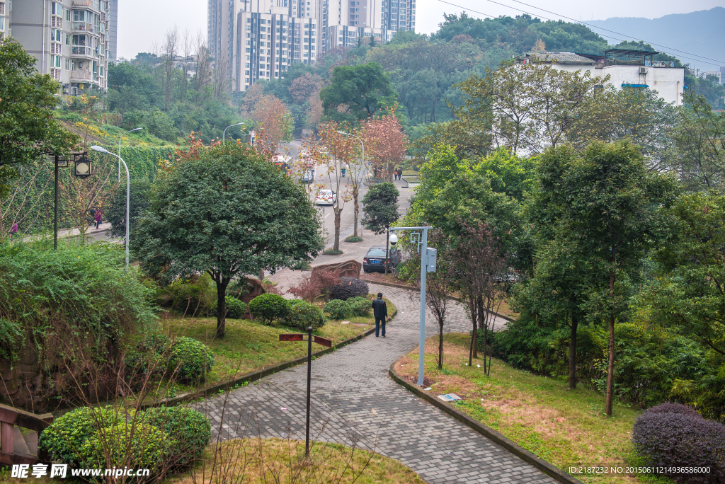 园艺 园林 草地 草坪 绿地