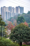 园艺 园林 草地 草坪 绿地