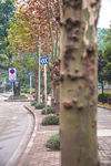 城市风貌 城市道路 城市绿化