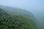 雾中山