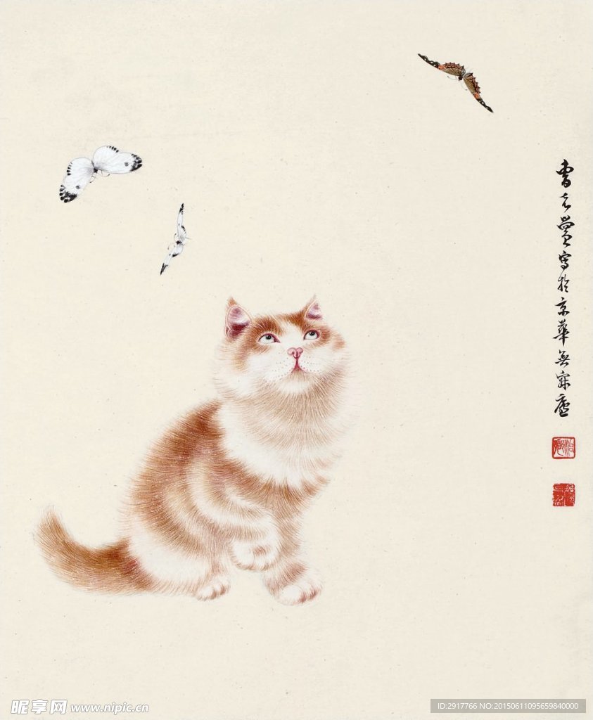 猫趣图