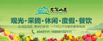 旅游banner