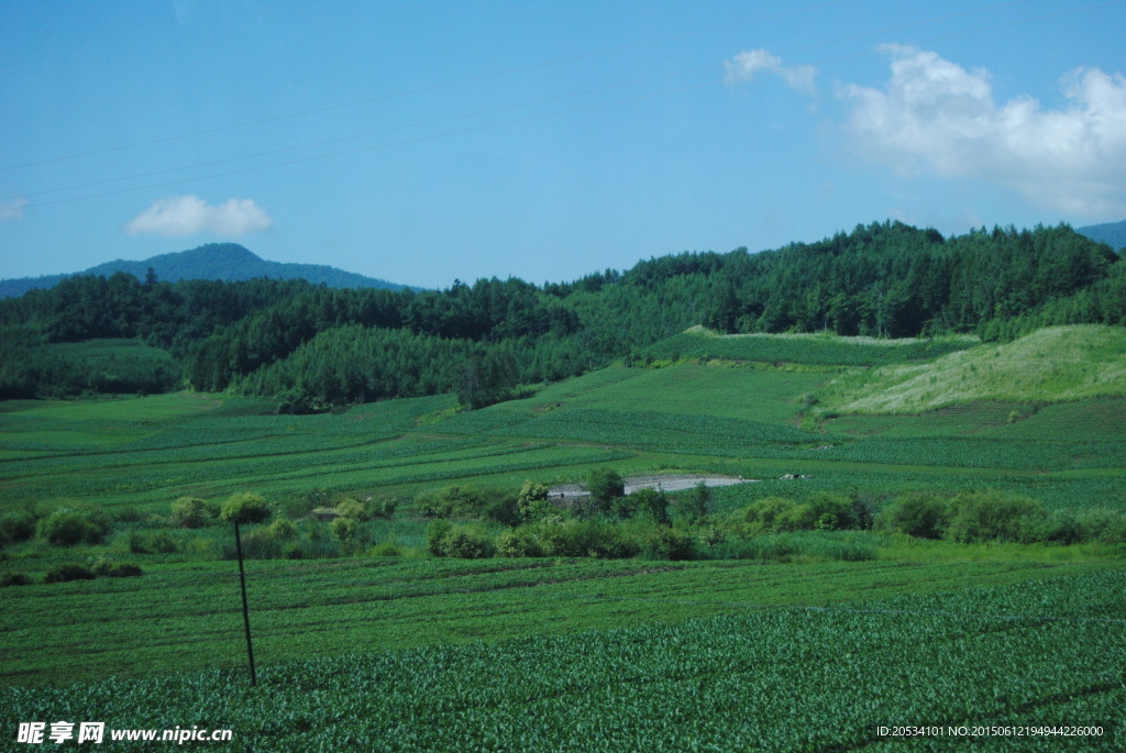 田地风景