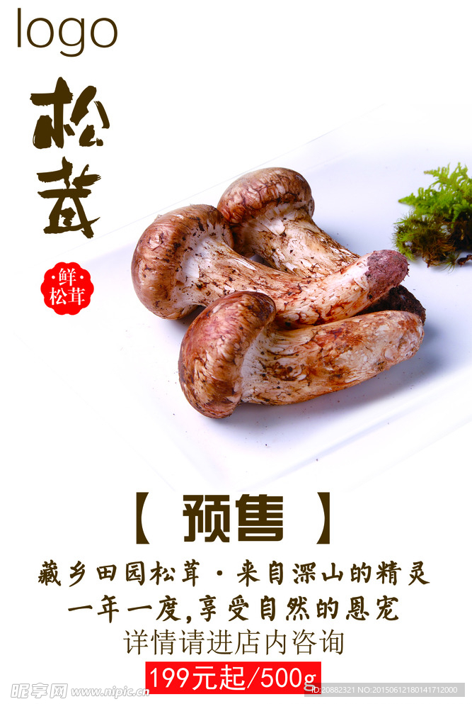 松茸预售
