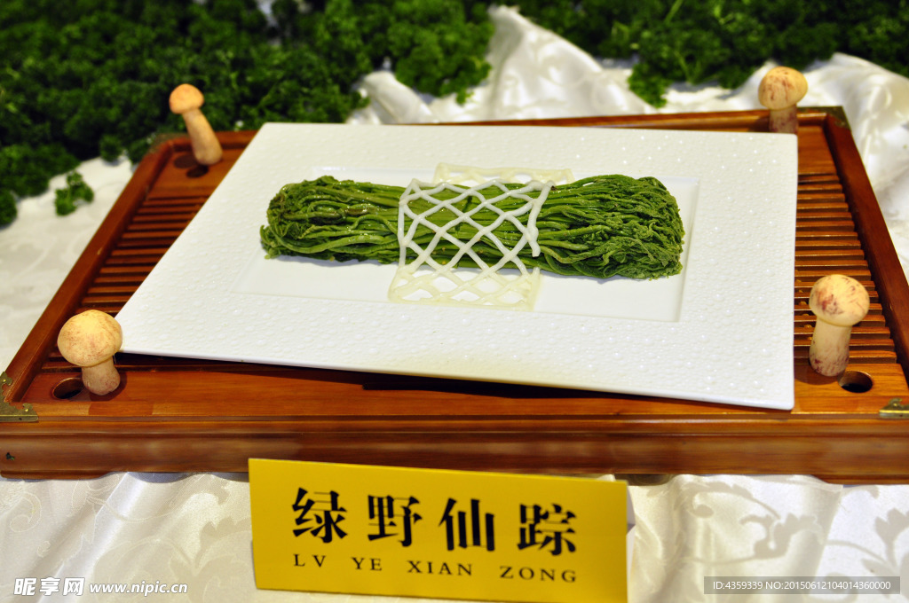 绿野仙踪