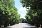 乡间公路