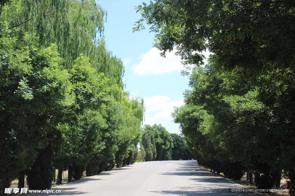 乡间公路