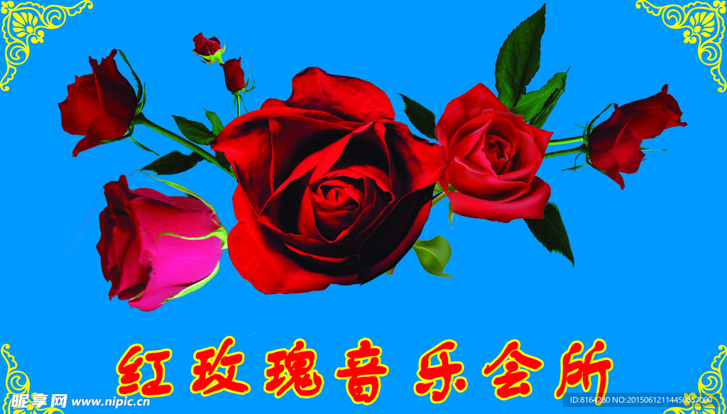 玫瑰花