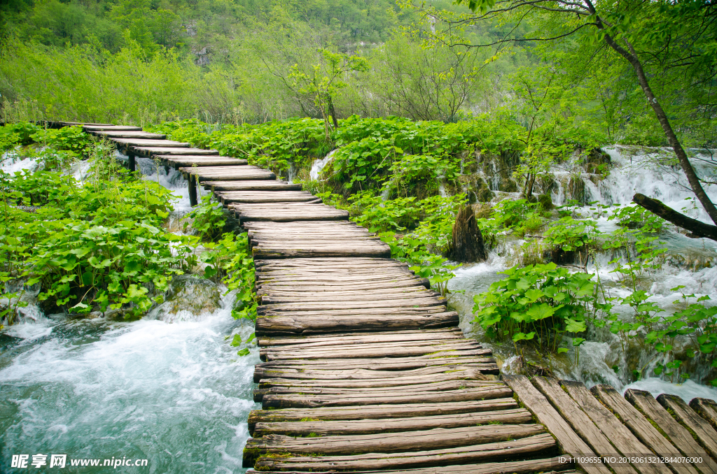 树林小溪木桥风景