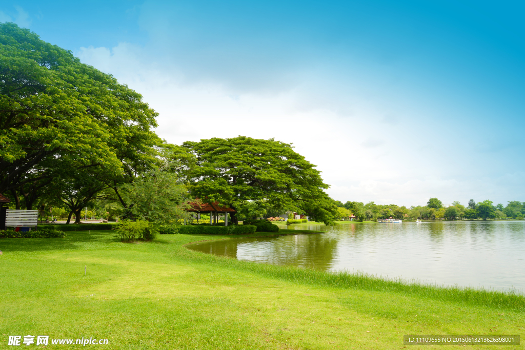 树林湖泊美景