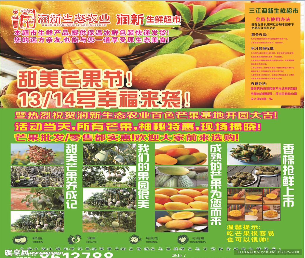 芒果节海报