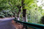 盘山公路