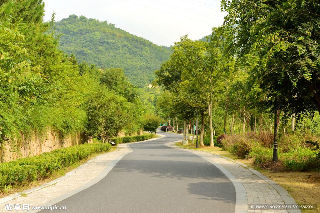 山间小道