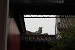 潮州 开元寺