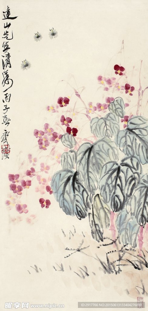 静物花卉