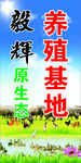 养殖基地
