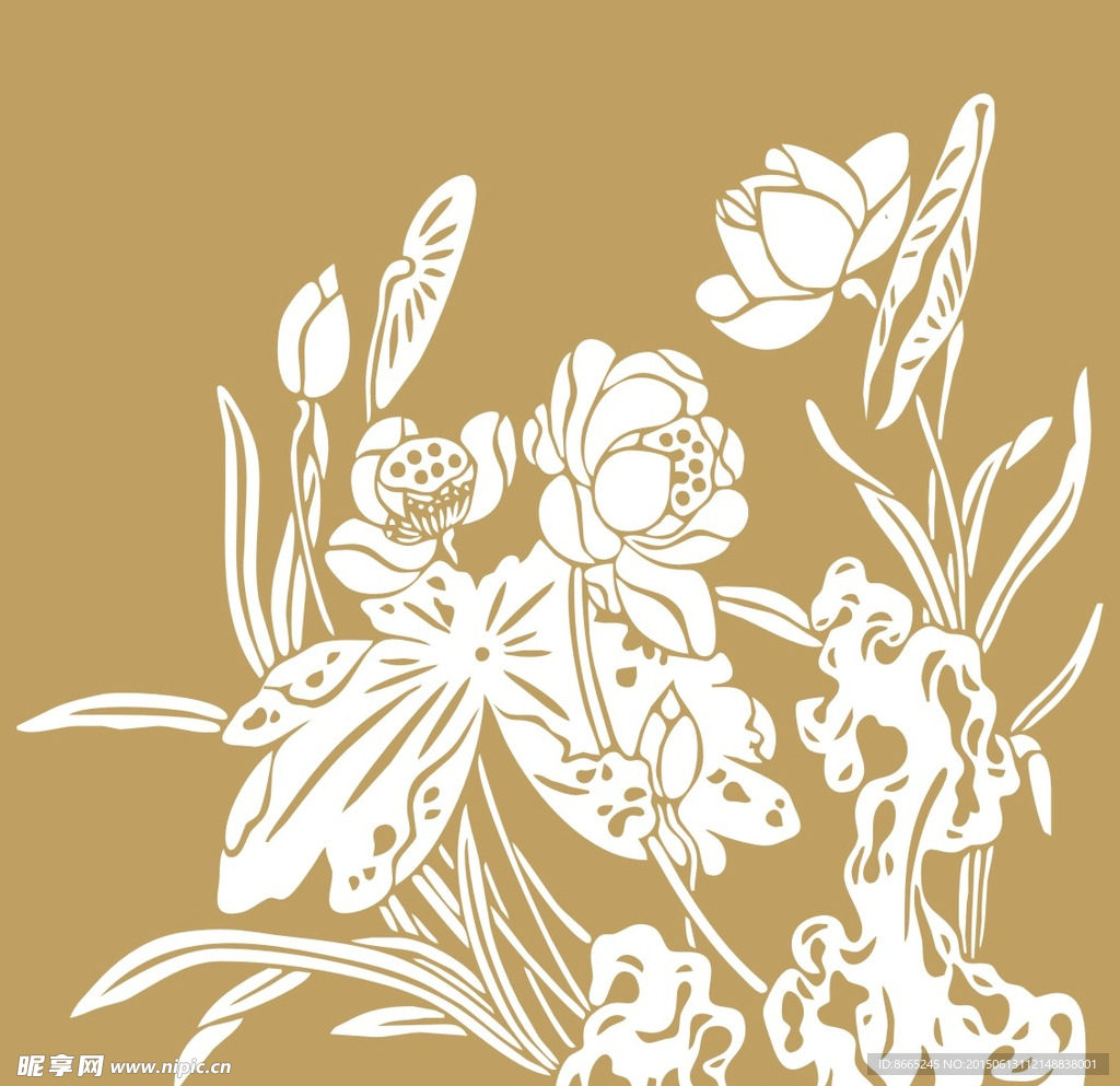 荷花