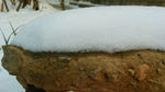 雪  砖墙