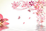 矢量百合花倒影水纹