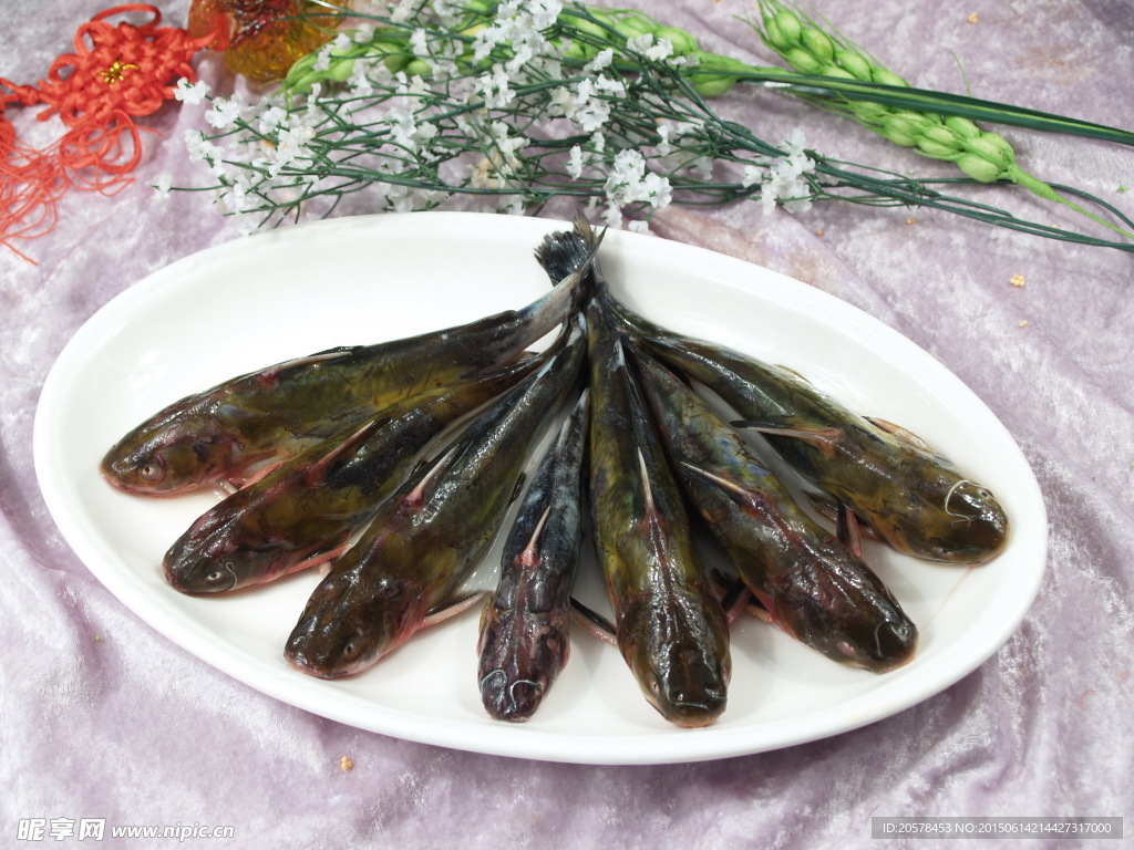 酱焖嘎牙子