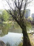 无锡风景