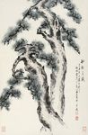 如松之盛