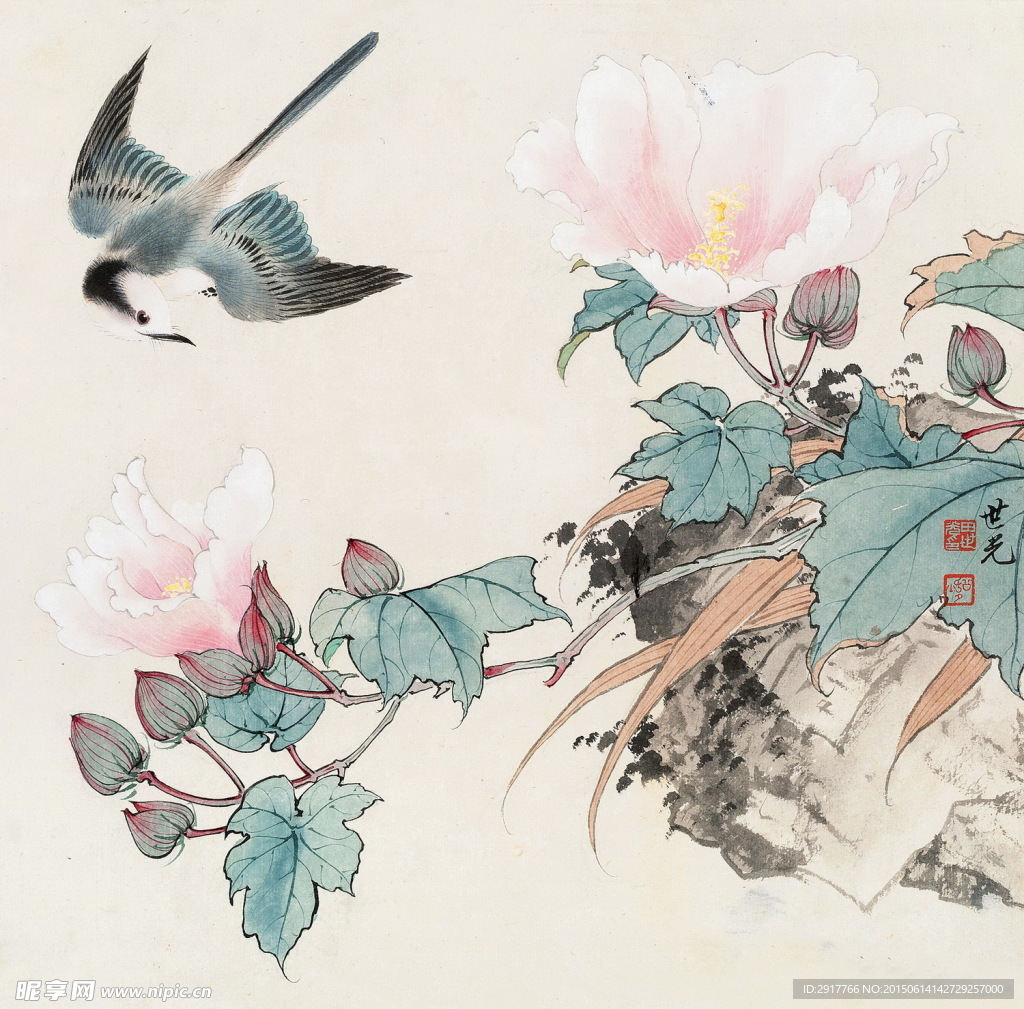 菊花翠鸟