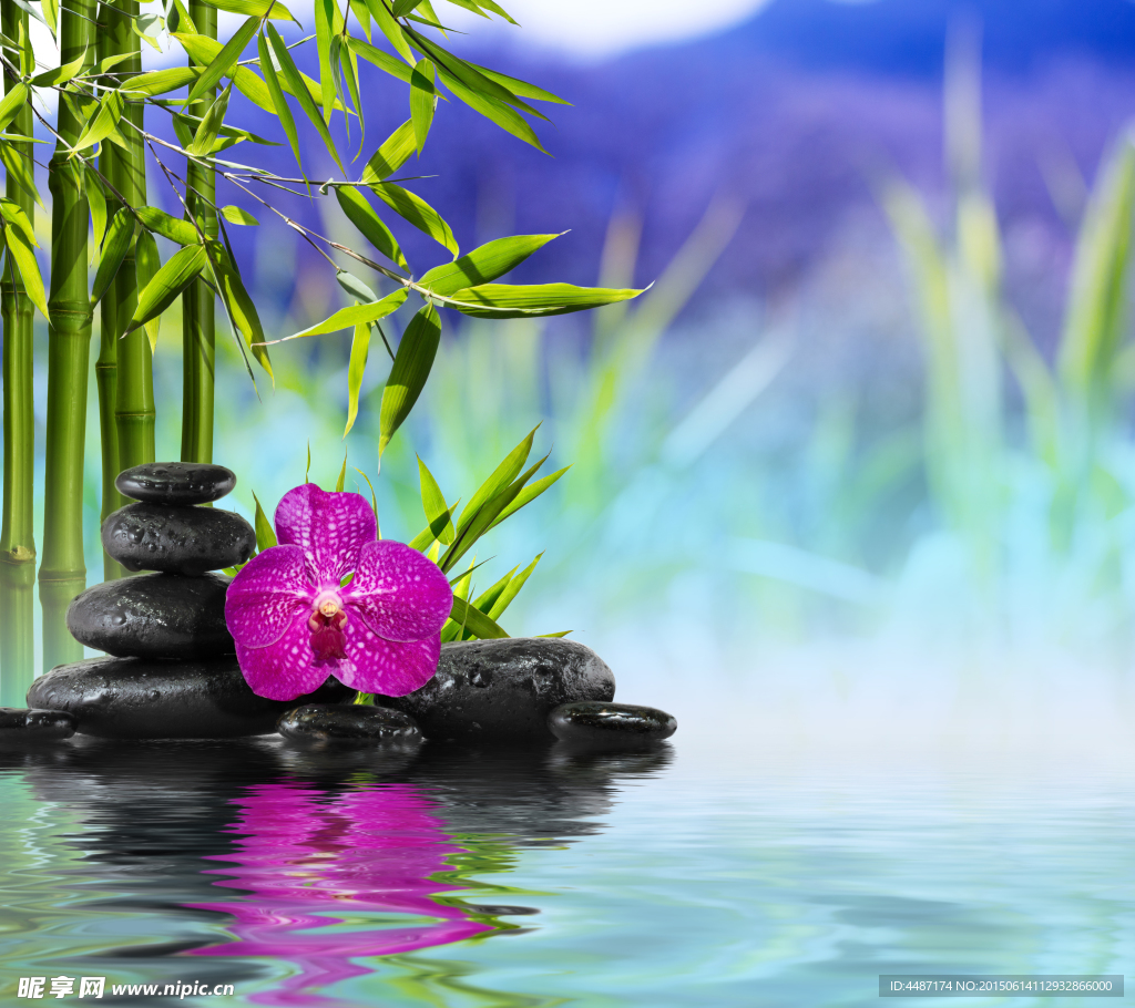鲜花 设计花卉