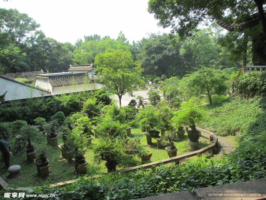 虎丘风景区   苏州虎丘