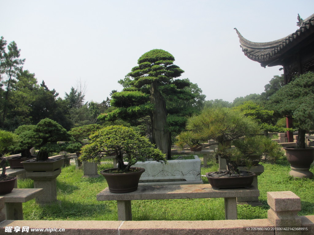 虎丘风景区   苏州虎丘