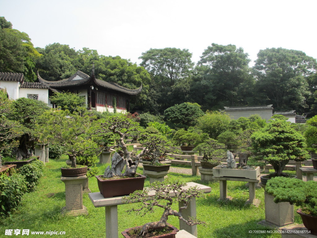 虎丘风景区   苏州虎丘