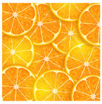 橙子底纹矢量素材