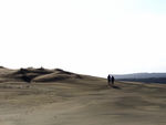 新西兰风景