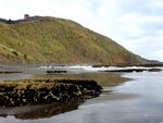 新西兰海滨风景