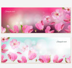 精美樱花banner