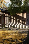 三岛大社