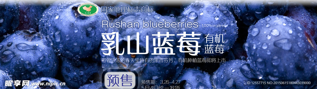 乳山有机蓝莓