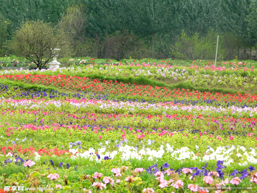 花田