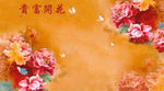 富贵花开牡丹花卉
