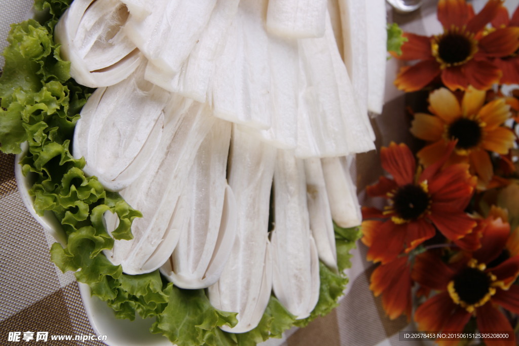 鸡腿菇
