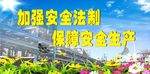 加强安全法制