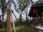 无锡风景