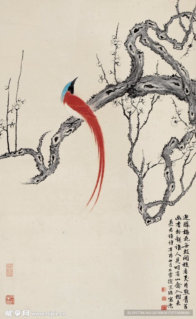 花鸟图