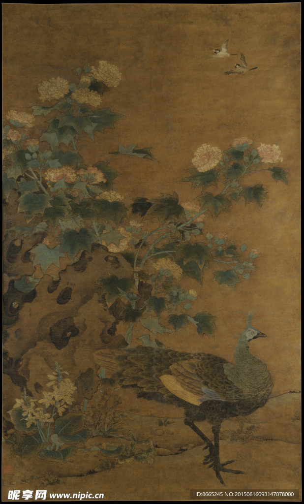 孔雀芙蓉图