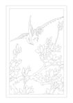 玉兰白描